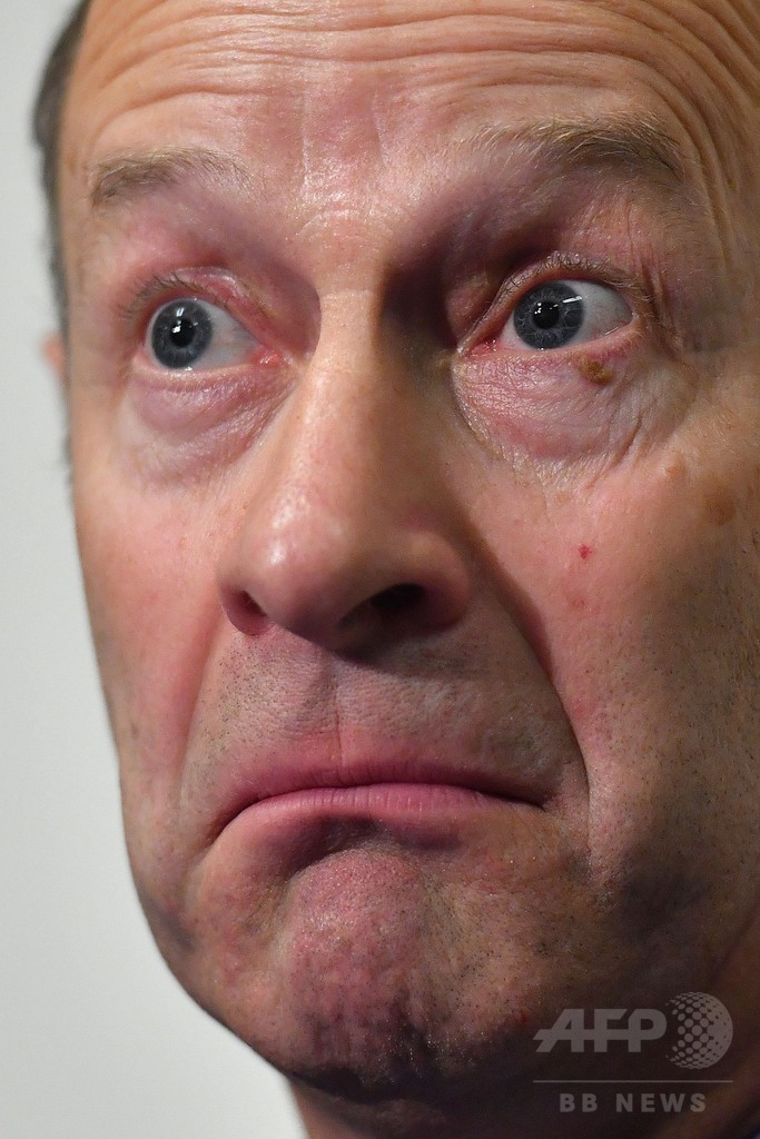 マークルさんは「王室の血汚す」 英独立党党首、恋人の差別表現で批判