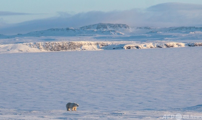 北極圏の温暖化 地球平均の3倍の速さで進行 報告書 写真3枚 国際ニュース Afpbb News