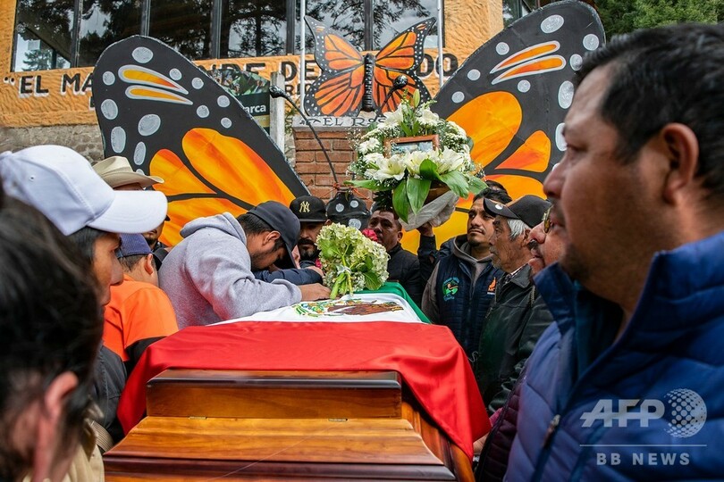 違法伐採に抗議のチョウ保護活動家、遺体で発見 メキシコ