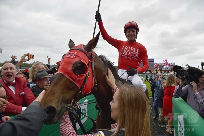 レッドゼル、芝レース世界最高賞金のジ・エベレストを制す