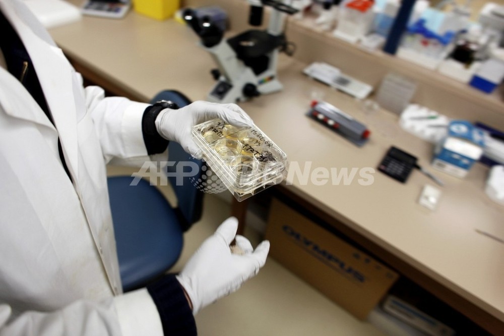  Epic Gamesはフォートナイトの仮差し止め命令を拒否したが、AppleはUnreal Engineをブロックできなかった