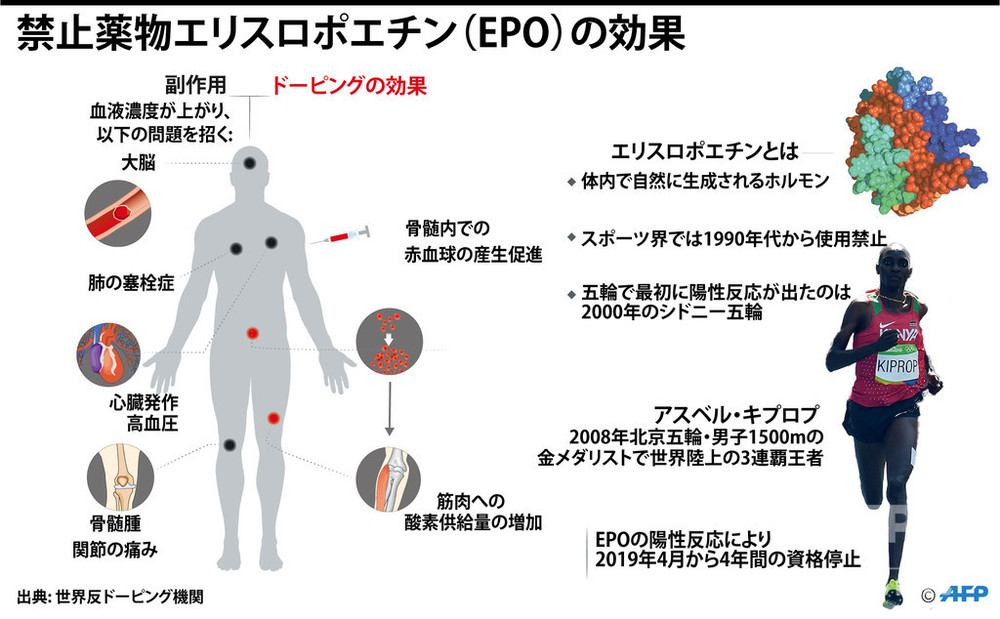 図解 禁止薬物エリスロポエチン Epo のドーピング効果と副作用 写真1枚 国際ニュース Afpbb News