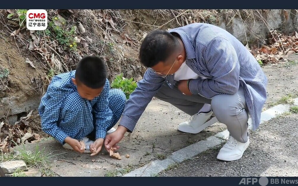 中国大連の8歳男児 スギナで金鉱の手掛かり発見か 現地調査を実施中