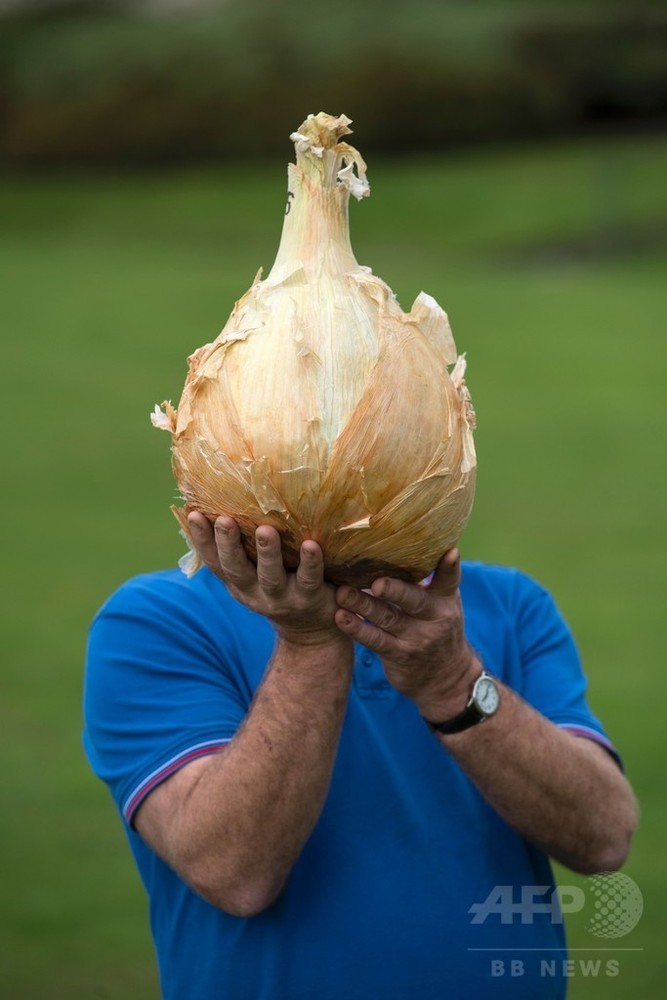 顔より大きいタマネギ 巨大野菜がずらり 英 写真17枚 国際ニュース Afpbb News