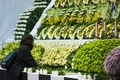 韓国・安山（Ansan）市の体育館に設置された旅客船セウォル（Sewol）号の犠牲者を追悼する献花台を訪れた人（2014年4月23日撮影）。(c)AFP/KIM DOO-HO