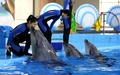 合肥海洋世界で。孫さんにイルカがキスしているように見える（2019年3月5日撮影）。(c)CNS/韓蘇原