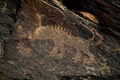イラク中部ホメイン郊外の丘陵地帯で発見された古代の岩壁画（2016年10月24日撮影）。(c)AFP/ATTA KENARE