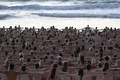 オーストラリア・シドニーのボンダイ・ビーチで、写真家スペンサー・チュニック氏による皮膚がんを啓発するアートイベントにヌードで参加した人々（2022年11月26日撮影）。(c)Saeed KHAN / AFP