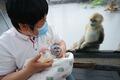河南省商丘市の動物園で四川キンシコウの赤ちゃんにミルクを飲ませるスタッフ（2025年4月8日撮影）。(c)Xinhua News