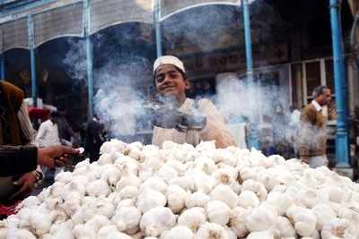 「かぐわしき積み荷」、過積載のニンニク9.5トンを押収 オーストリア