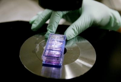 ES細胞を使った世界初の臨床試験、米国で実施へ