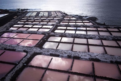 自然の中のピンクのパレット、カナリア諸島に広がる塩田 スペイン