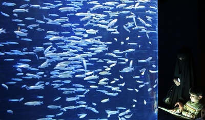 砂漠の国で潤いのひととき、クウェート水族館