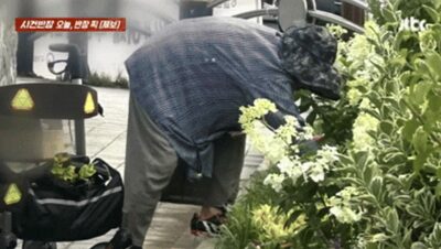 監視カメラが捉えた“花泥棒”…韓国・歩行器に花を入れて立ち去る高齢女性、非難殺到