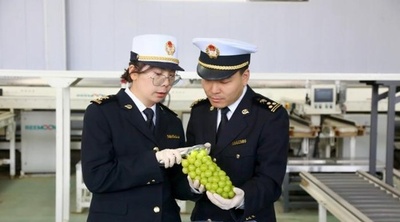 陝西産のブドウ、初めてカザフスタンへ輸出