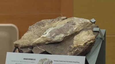 香港で恐竜の骨の化石を含む岩石30個を新たに発見