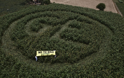 インドにもミステリーサークル？遺伝子組み換え反対で制作