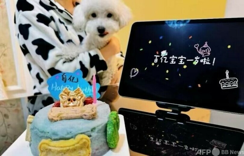 ペット用年越しディナーが人気、新たな市場に