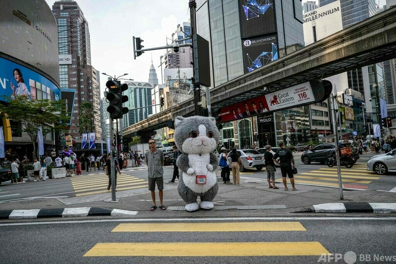 【今日の1枚】青信号を待つ猫？ マレーシア