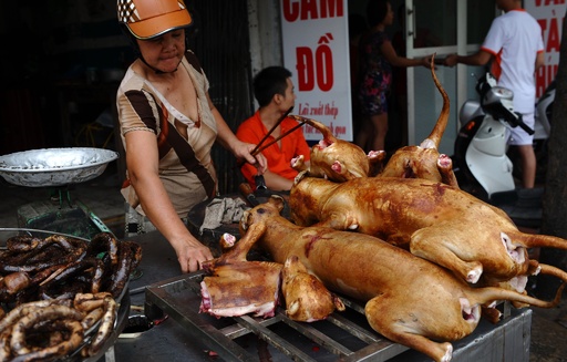 越首都ハノイ市当局 市民に犬肉食をやめるよう呼び掛け 猫肉も 写真3枚 国際ニュース Afpbb News