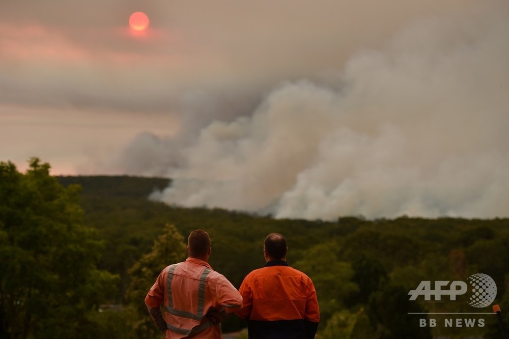 豪森林火災の煙霧 チリなど南米にも影響 太陽 赤み帯びる 写真1枚 国際ニュース Afpbb News