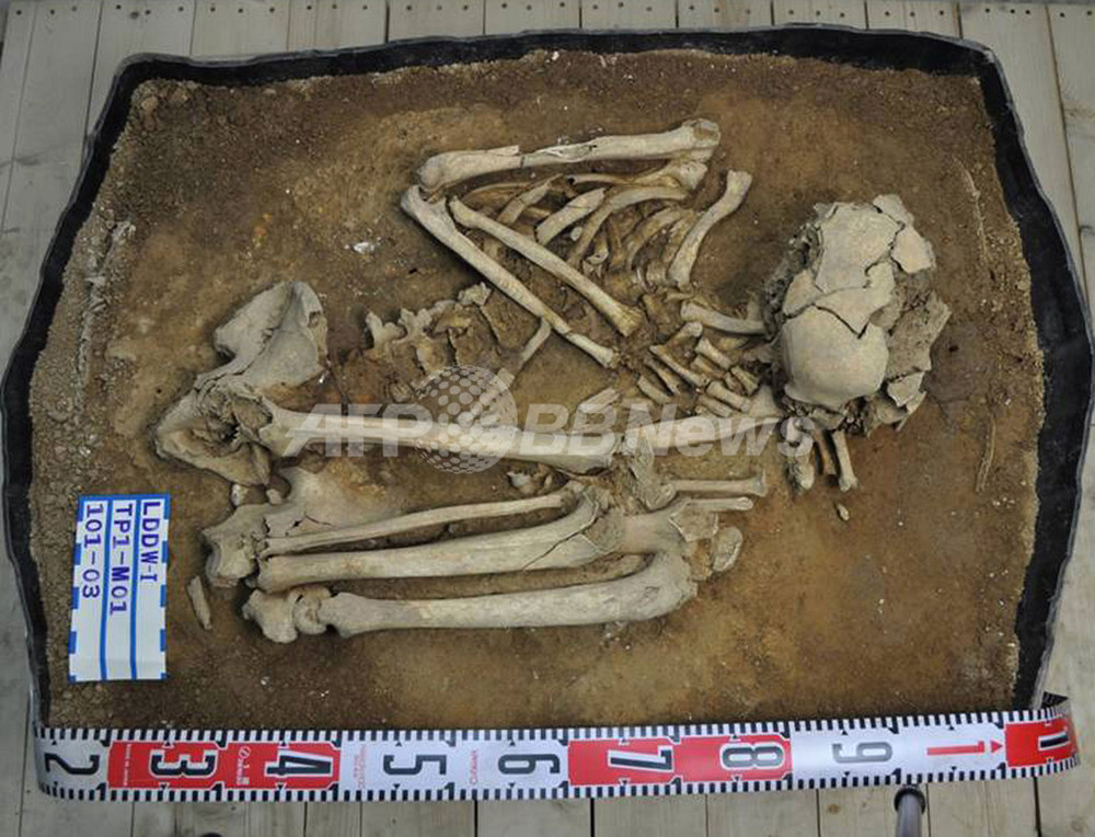 拾った骨 中国産 8000年前の人骨、オーストロネシア語族の理解ヒントに 台湾 写真3枚