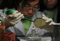 香港中文大学（Chinese University of Hong Kong）の学生（2010年12月28日撮影）。(c)AFP/MIKE CLARKE