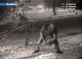 ロシアの国営テレビ局で放映された、モスクワ（Moscow）郊外の公園で通信装置が埋め込まれた偽の石を拾う英国の情報員とされる若者（2006年1月23日撮影）。(c)AFP/EURONEWS-ROSSIYA TELEVISION