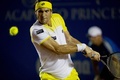 テニス、アビエルト・メヒカーノ・テルセル（Abierto Mexicano TELCEL 2013）は26日、メキシコのアカプルコ（Acapulco）で男子シングルス1回戦が行われ、大会第1シードのダビド・フェレール（David Ferrer、スペイン）は6-0、6-3でクロアチアのアントニオ・ベイッチ（Antonio Veic）を退け、2回戦に駒を進めた。

リターンを打つダビド・フェレール（2012年2月26日撮影）。(c)AFP/Yuri CORTEZ