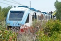 イタリア南部プーリア州で起きた列車衝突事故の現場で行われる救出活動（2016年7月12日撮影）。(c)AFP/GAETANO LO PORTO