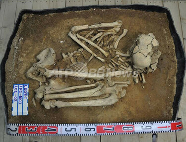8000年前の人骨、オーストロネシア語族の理解ヒントに 台湾 写真3枚
