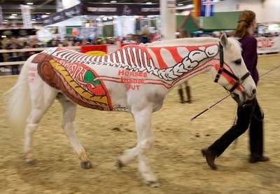 馬の中を徹底解説、独の世界馬術見本市
