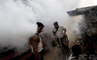 デング熱、アジアで感染拡大