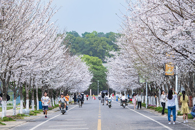 中国の大学生 低体重で呼び出され、そして