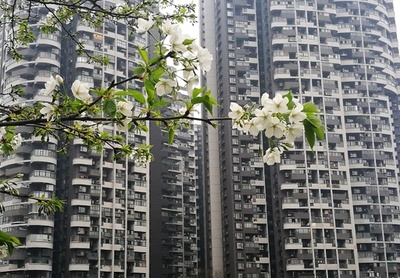怒る気持ちはわかるけど… 成都で住民が泥棒の写真貼り出し論争に