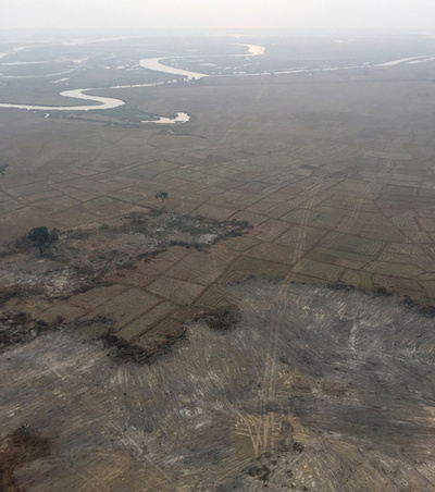 消えたロヒンギャ集落、空撮で判明 「歴史の抹消」危惧する声も