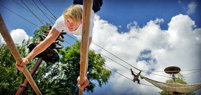 五輪体操選手がオランウータンに木登り指導、オランダ動物園