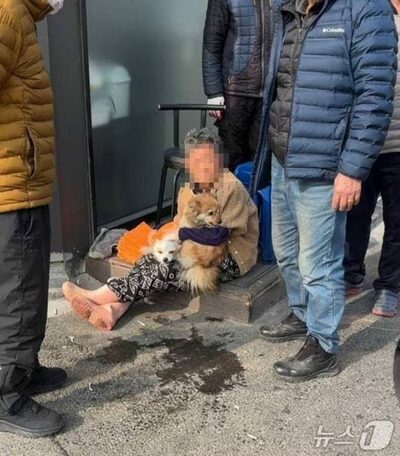 「中に犬がいます！」炎の中へ…韓国の消防隊員、心停止2匹を奇跡の蘇生