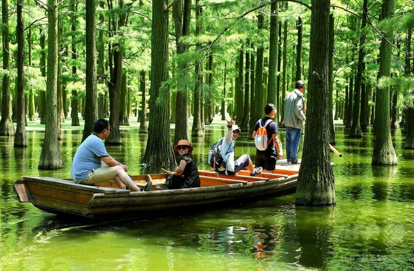 水上の森林 武漢 