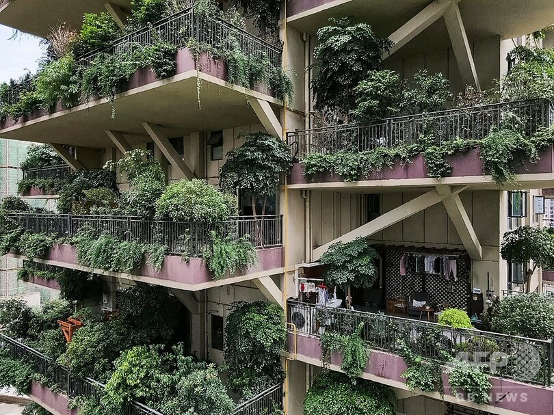 「都会の楽園」のはずが…緑あふれる集合住宅、蚊の来襲でほぼ無人に 中国