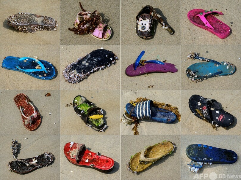 人影のないビーチ、残された「思い出」 タイ・サムイ島