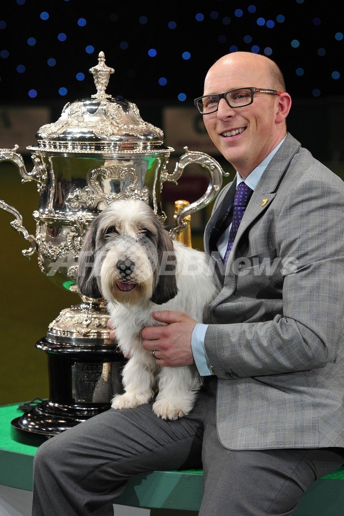 英ドッグショー クラフツ 閉幕 プチバセット グリフォン バンデーンが優勝 写真16枚 国際ニュース Afpbb News