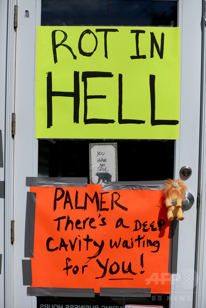 ライオン「セシル」が狩猟愛好家に殺された問題を捜査 米当局