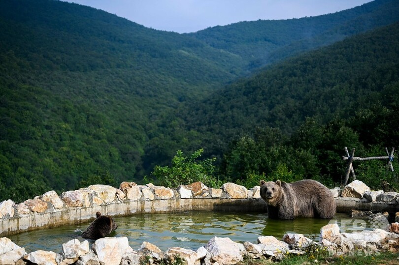 【今日の1枚】ザブンと水遊び、極楽～