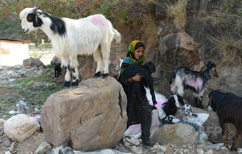 ヒンズー教徒による8歳女児の集団レイプ殺人、イスラム教徒が離村 印