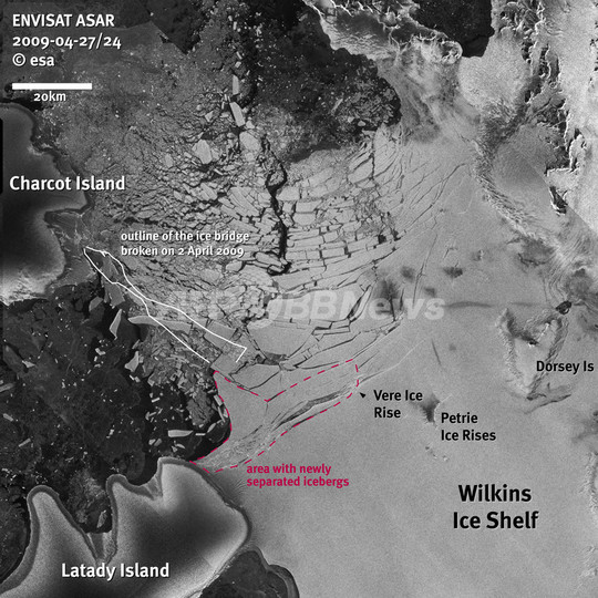 南極のウィルキンス棚氷、氷山への分解が進行 温暖化の影響 南極のウィルキンス棚氷、氷山への分解が進行 温暖化の影響