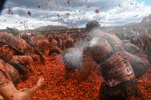 大人も子どもも真っ赤！ トマト投げ祭り開催 コロンビア 写真10枚 国際