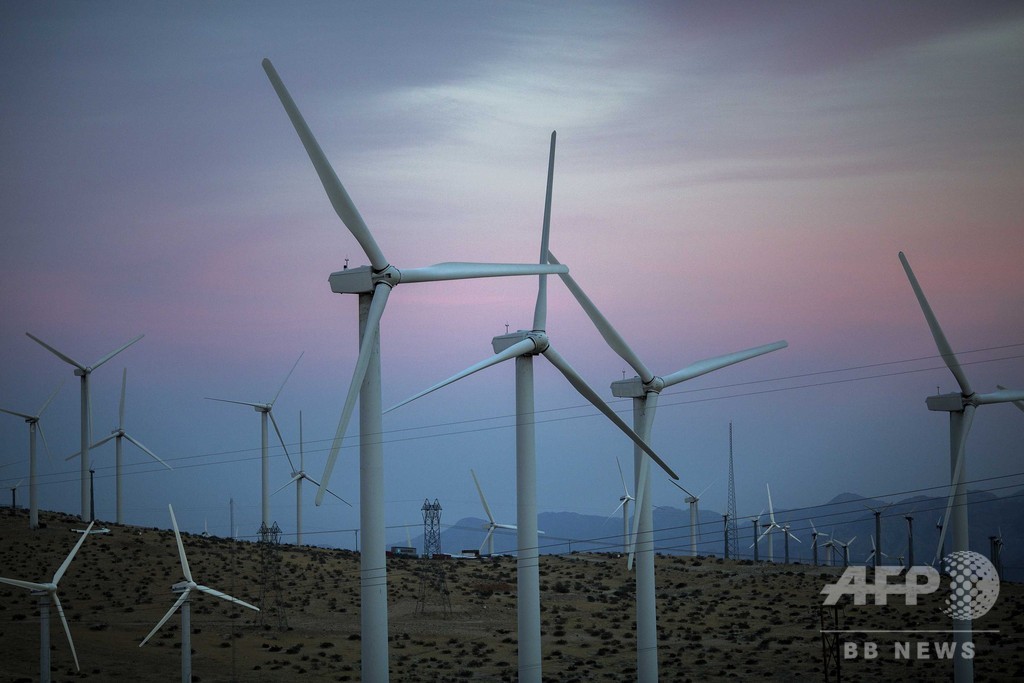 生態系を乱す風力発電所の「天敵」効果、国際研究 生態系を乱す風力発電所の「天敵」効果、国際研究