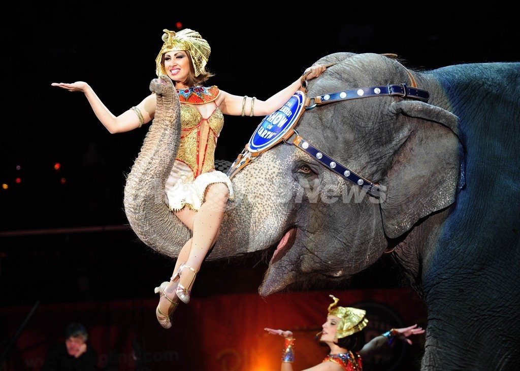 米国でサーカスのゾウ禁止法案、業界団体は反対運動 写真3枚 国際ニュース：AFPBB News