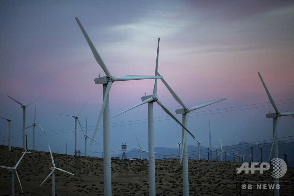 生態系を乱す風力発電所の 天敵 効果 国際研究 写真1枚 国際ニュース Afpbb News